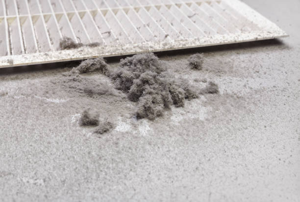 Best Affordable Air Duct Cleaning  in Hawi, HI