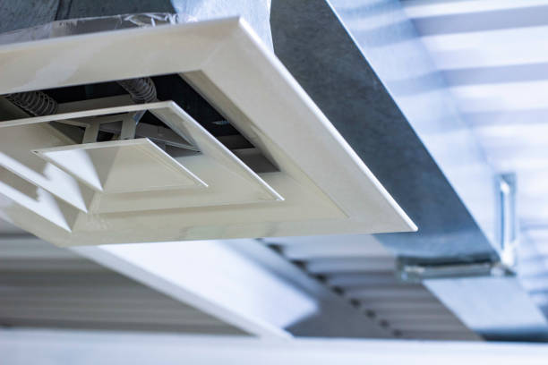 Best Affordable HVAC Duct Cleaning  in Hawi, HI