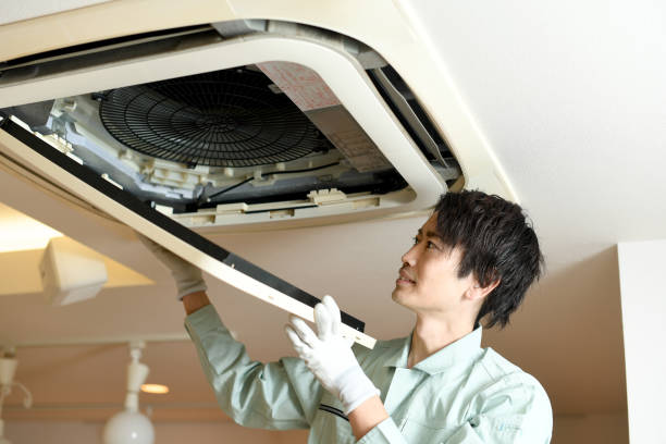 Best Local Air Duct Cleaning Services  in Hawi, HI